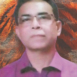 Mr Ujjwal Biswas
