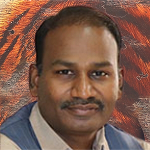 Mr M Nagarajan