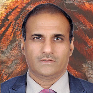 Mr Hukum Singh Meena