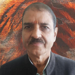 Mr Hari Kumar Sharma