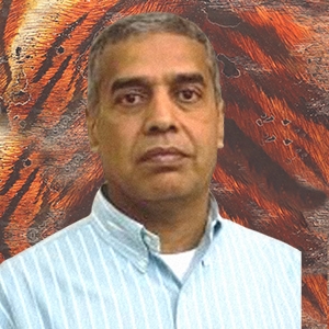 Mr M Raghunandan Rao