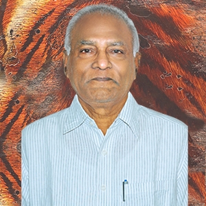 Mr Annamaneni Gopal Rao